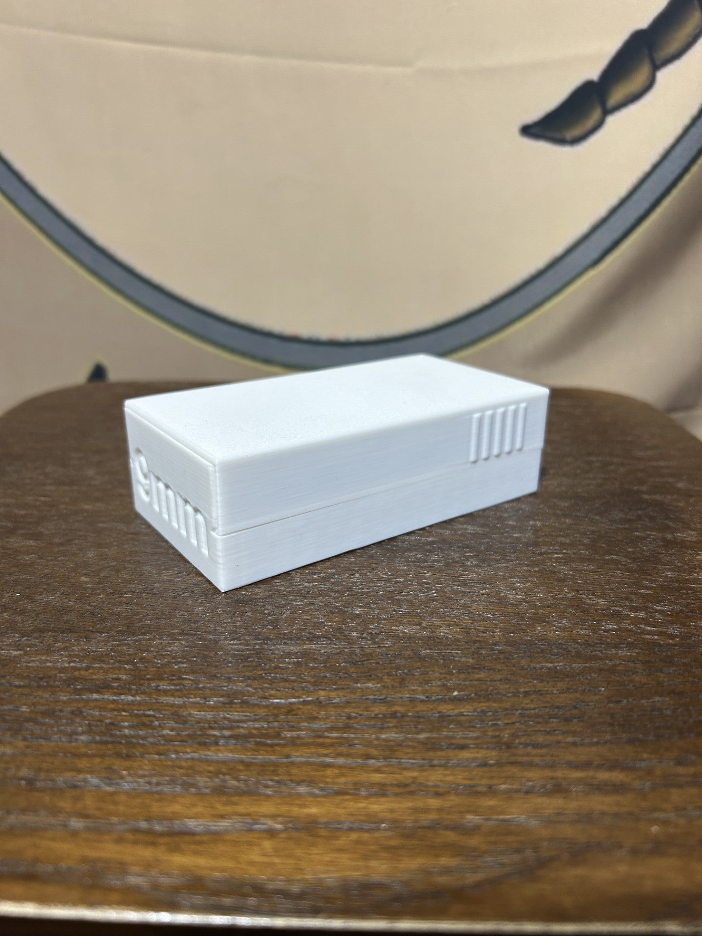 Ammo Case- 9mm (50 Rounds)